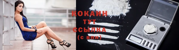 ECSTASY Липки